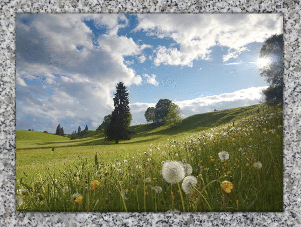 Horizon paisible – Image 5