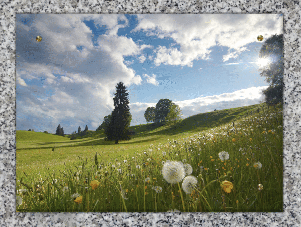 Horizon paisible – Image 4