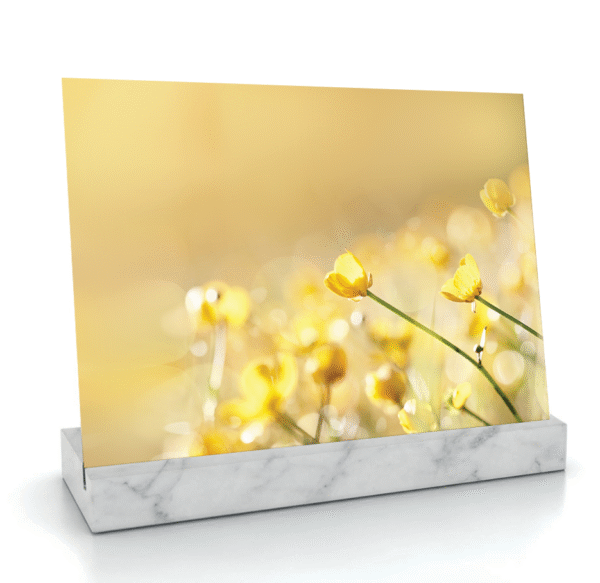 Ranunculus acris (Bouton d'or) – Image 3