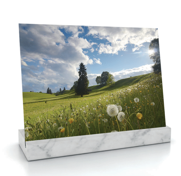 Horizon paisible – Image 3