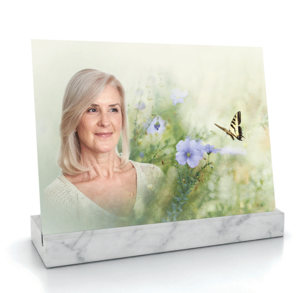 Linum perenne (Lin bleu) – Image 2