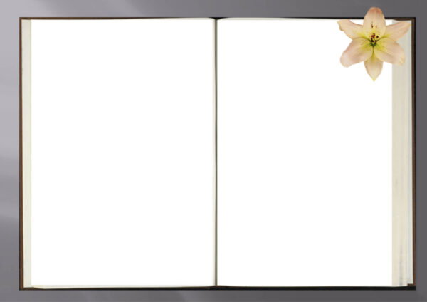 Livre