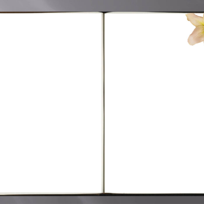 Livre