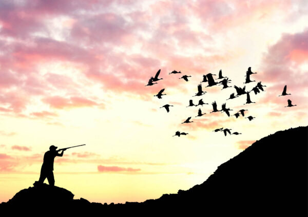 Chasseur passionné