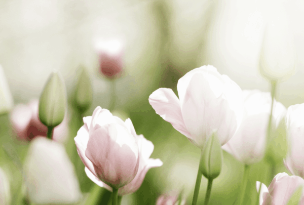 Texte pour plaque funéraire maman